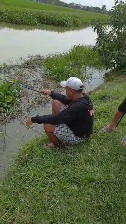 Mancing sing tenang maze #shorts