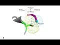 Intro to Covalent Suite