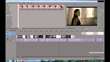 Sony Vegas Tutorials | Effect 1 [Mirror]