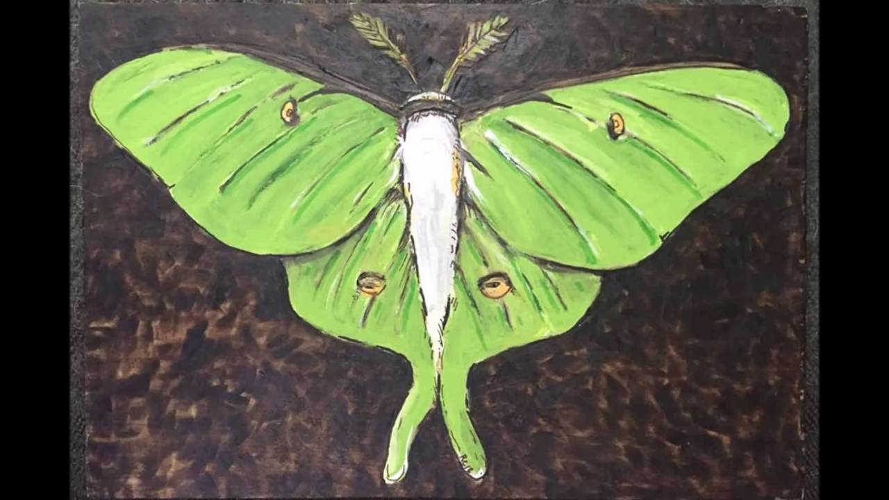 Give Me Wings - YouTube