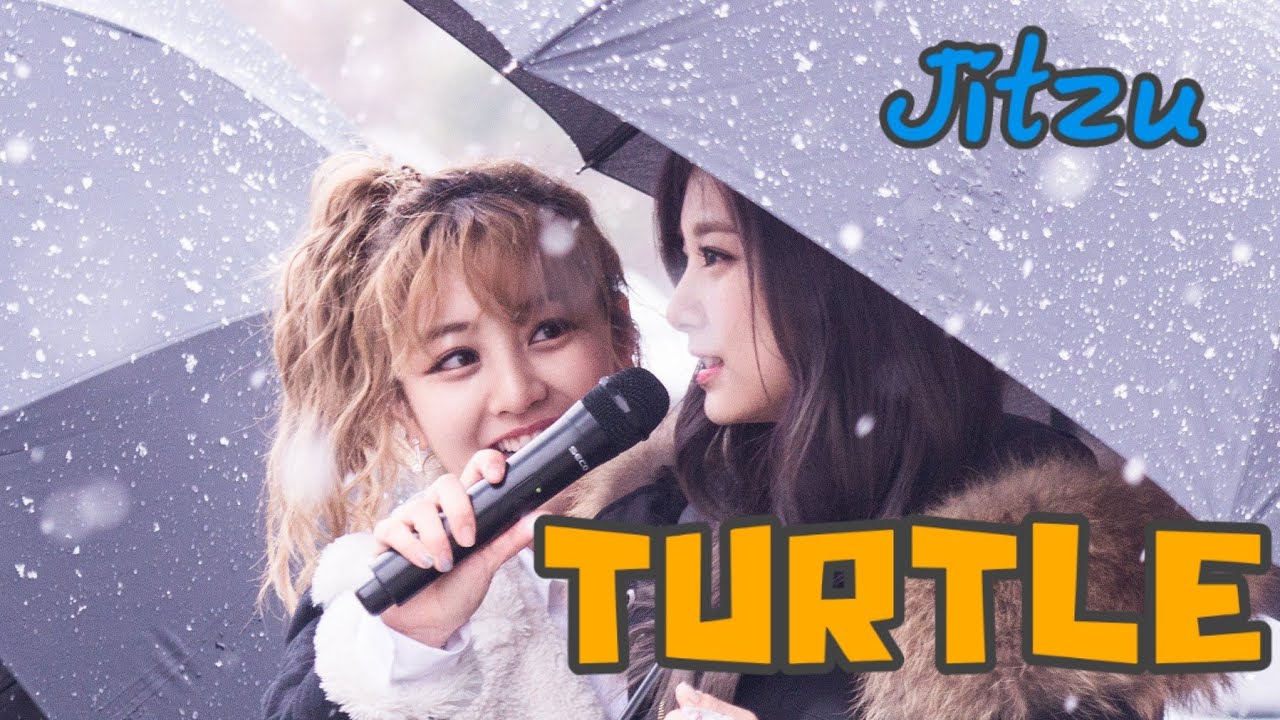 [FMV] TWICE (트와이스) JIHYO (지효)  x TZUYU (쯔위)  TURTLE  #Jitzu #Tzuji