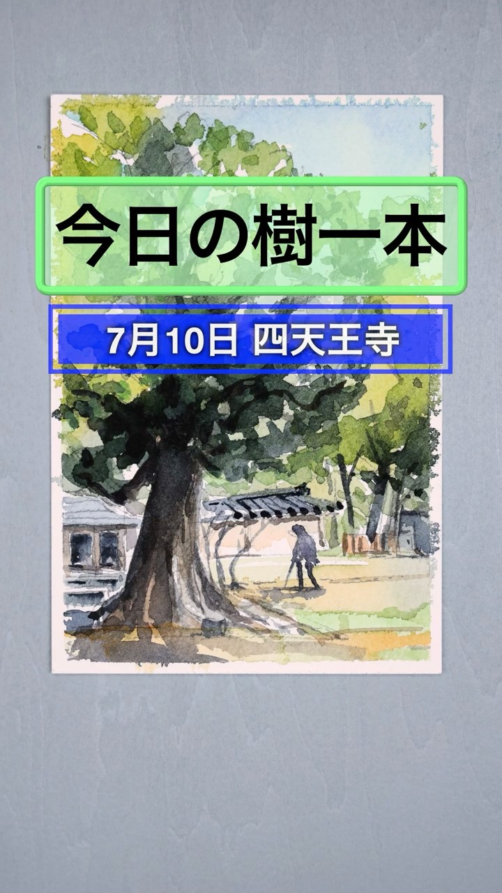 透明水彩絵具で描く風景画「四天王寺の樹木」今日の樹一本（7月10日