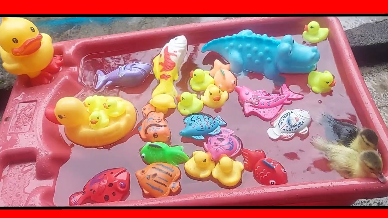 Fishing colorful fish for children's toys, catching fish for children's