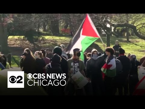 Northwestern University students join nationwide campus pro-Palestinian protests