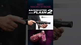 Backscatter Mini Flash 2 #shorts