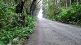 Barbados Bicycle Cam Cherry Tree Hillmorgan Lewis Windmill