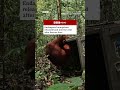 New video by BBC News on YouTube