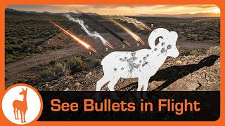 How to See a Flying Bullet (5 Ways)