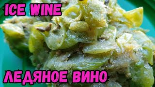 Ледяное вино. Виноделие после заморозков. Ice Wine.