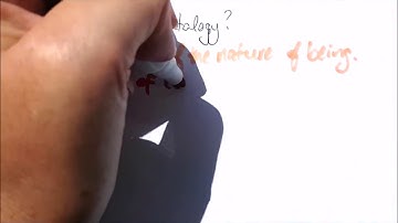 Ontology of Government v1 0