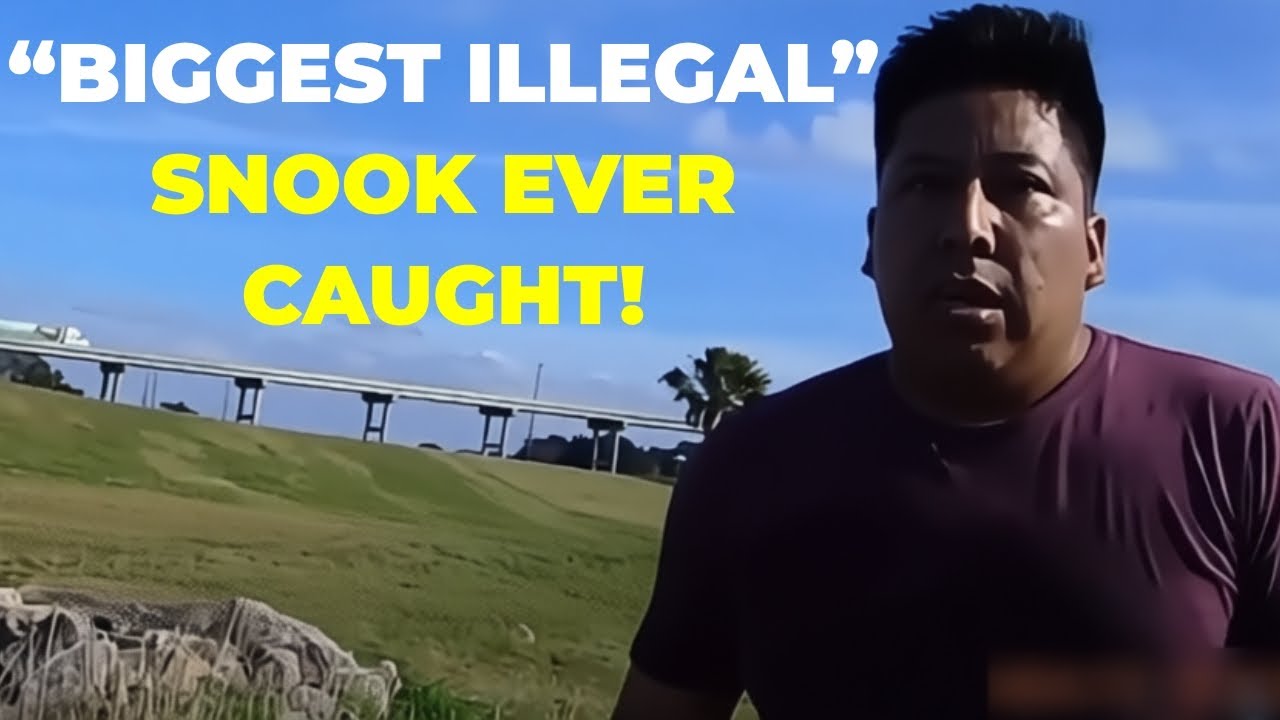 Мужчина арестован после того, как сотрудник службы охраны дикой природы раскрыл незаконную добычу...