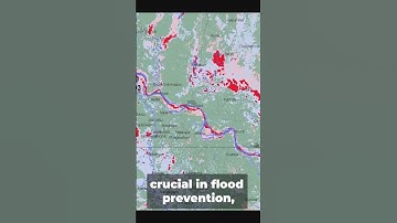 SHORT How satellite data is used to monitor flooding from space