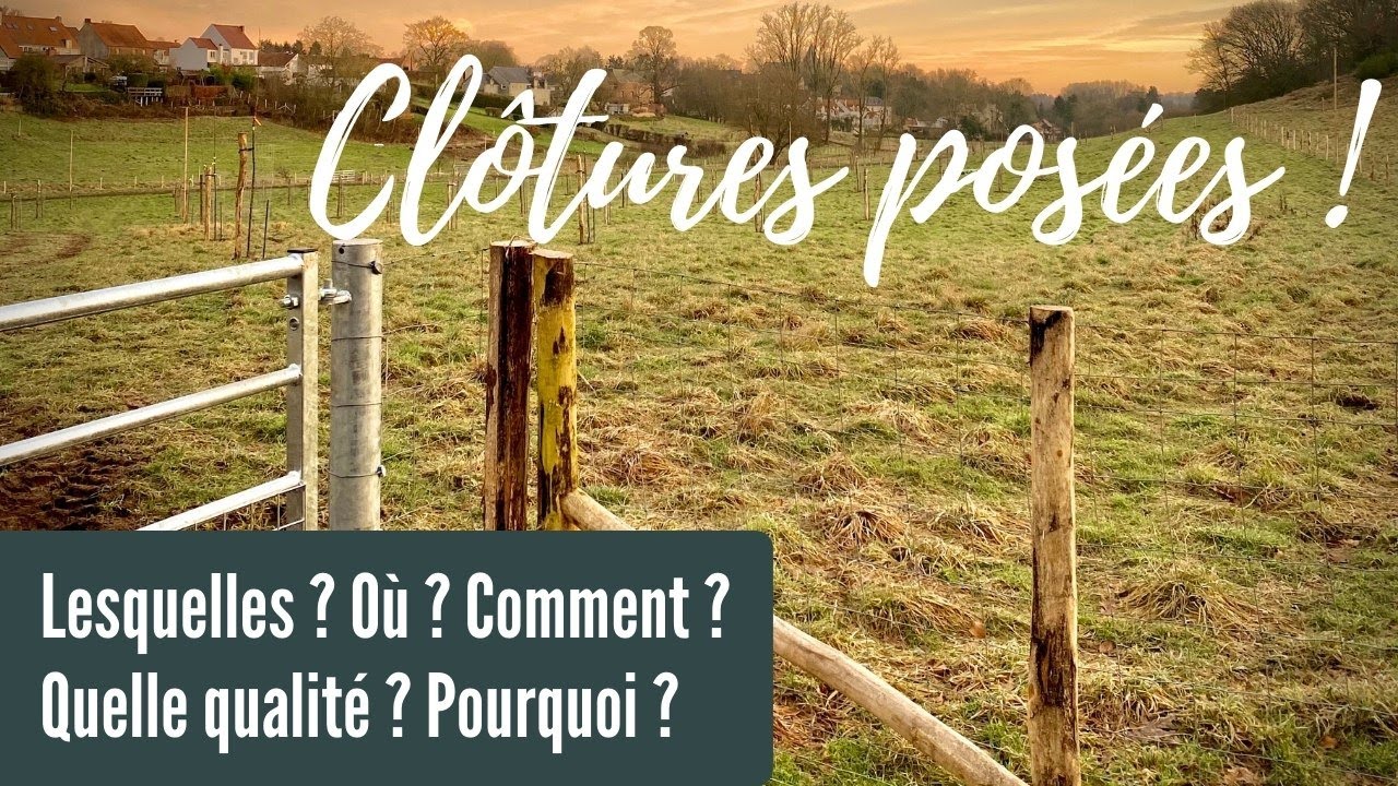 S1E5 - Clôtures posées ! Je vous explique tout sur la technique