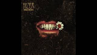 Too Sweet - Hozier (Official Instrumental)
