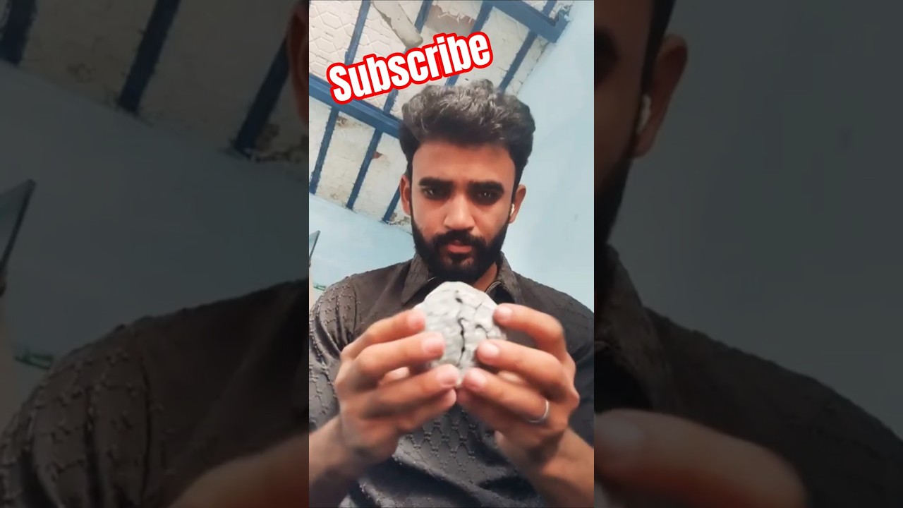 wow 😲 amazing #viral #shortsfeed #shorts - YouTube