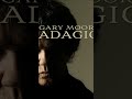 Come taste my collection #hardrock #bluesrock #garymoore #electricguitar #guitarsolo