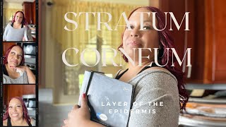 First Layer of the epidermis: Stratum Corneum