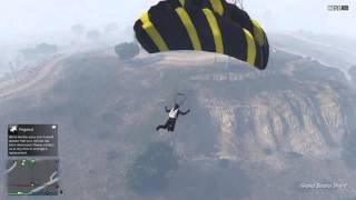 Pararevenge