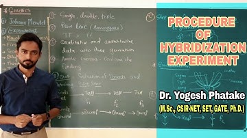 Procedure of the Hybridization Experiment | Genetic Basis of Inheritance | Explained by Dr. Yogesh