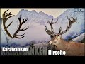 Jagd auf Karawanken Hirsche #2.0 / Hunting the Karawanken Stag #2.0