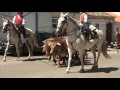 Cartaxo  Desfile Victor Jarego Gentes da Nossa Terra 2016