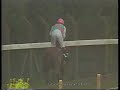 1994 sussex stakes distant view inc replay