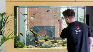 African Cichlid Aquascape - Aquatechniques
