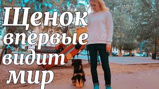 видео: картинка: