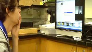 Project Cygnus 1 documentary.wmv