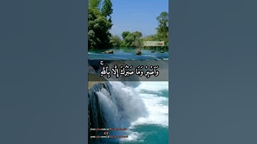 واصبر وما صبرك إلا بالله ولا تحزن عليهم ولا تك في ضيق - سورة النحل - اسلام صبحي♥