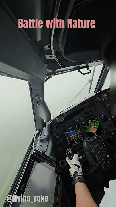 Battle with Nature | Storm Landing |B737NG | Cockpit views #shorts