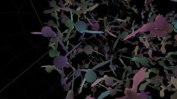 Birds in Hyperbolic Space