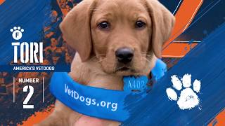 Islanders Team Up with America's VetDogs to Raise Fourth Puppy