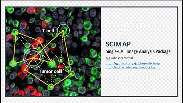 Scimap- Single-Cell Image Analysis Package- Getting Started Tutorial