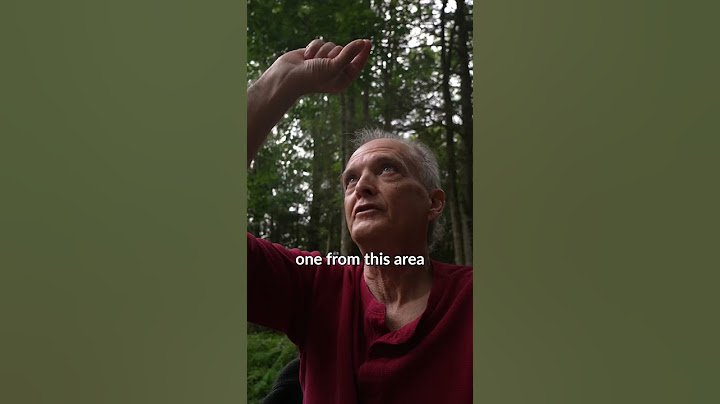 This Woman Was Abducted By Aliens
