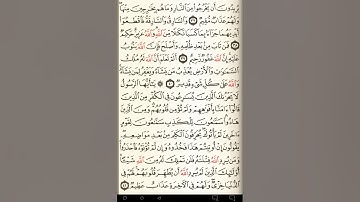 ماهر المعيقلي سورة المائدة مكتوبة صفحة 114 مصحف المدينة المنورة جودة عالية