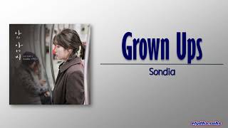 Sondia - Grown Ups (어른) [My Mister OST Part 2] [Rom|Eng Lyric]