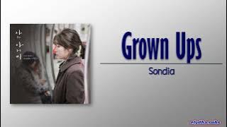 Sondia - Grown Ups (어른) [My Mister OST Part 2] [Rom|Eng Lyric]