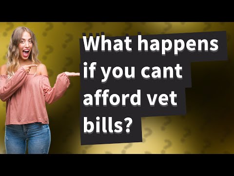 Videó: Miért nem számíthat az állatorvosok számára, hogy fedezzék az ár és a halál költségeit