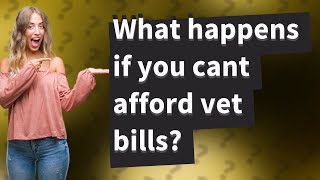 What happens if you cant afford vet bills?