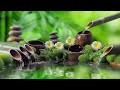 Relaxing Music 33 Hours || Spa Music, Massage, Yoga, Sleep Music, Running Water, Stress Relief Music