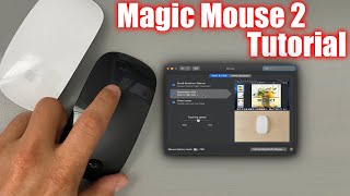 Do You Think Your Apple Mouse is Slower- Here is How You Can Speed Up Your Apple  Mouse - The Sec Master