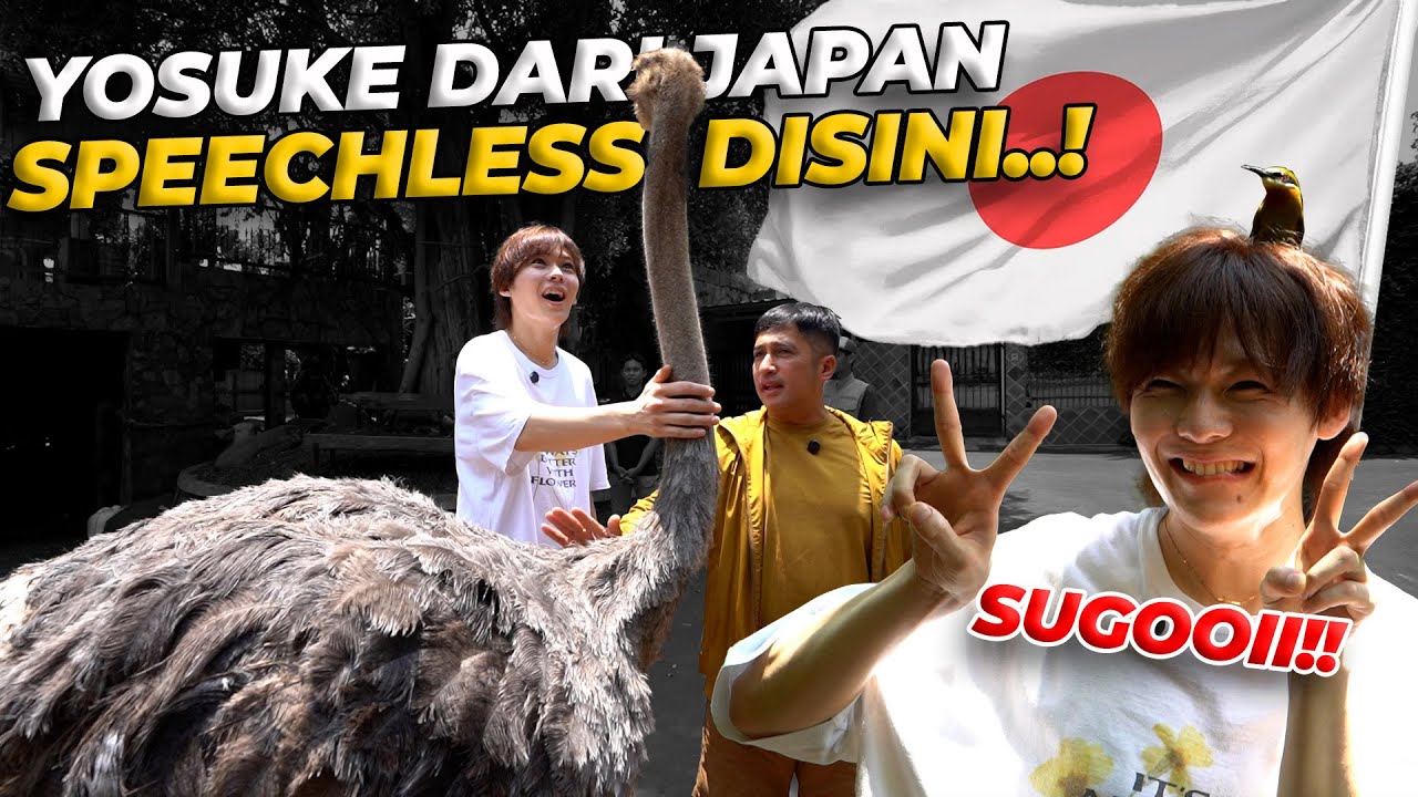 PENYANYI JEPANG INI SAMPE GABISA MINGKEM LIAT HEWAN DI DEHAKIMS..!