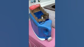 Funny! Trap looks weak, but mice keep falling in? #cat #catandmouse #trending