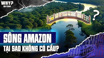 TẠI SAO KHÔNG CÓ CÂY CẦU NÀO BẮC QUA SÔNG AMAZON?