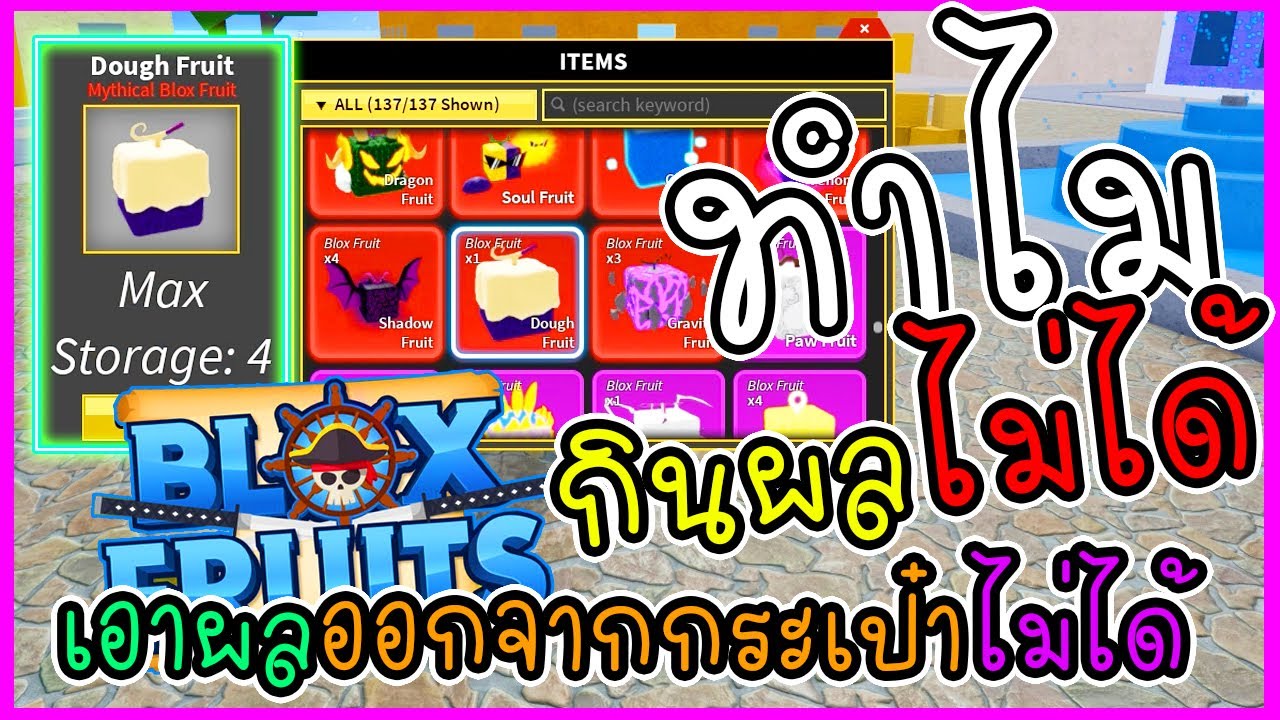 Roblox : Fruit Warriors สุ่มแบบโทเค็นเรื่อยๆสายฟรี 🌊 🌊 🌊 