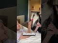 La grand mère a fait ses adieux à son poney 🥺❤️