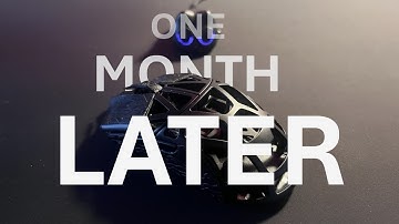 WL Mouse Beast X Mini: 1 Month Later