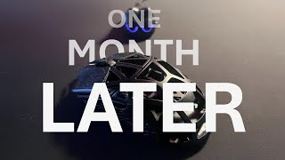 Wl Mouse Beast X Mini 1 Month Later