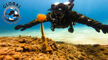 GUE Cave Diving - Project Phreatic Sardinia 2019 [Bue Marino, Bel Torrente]